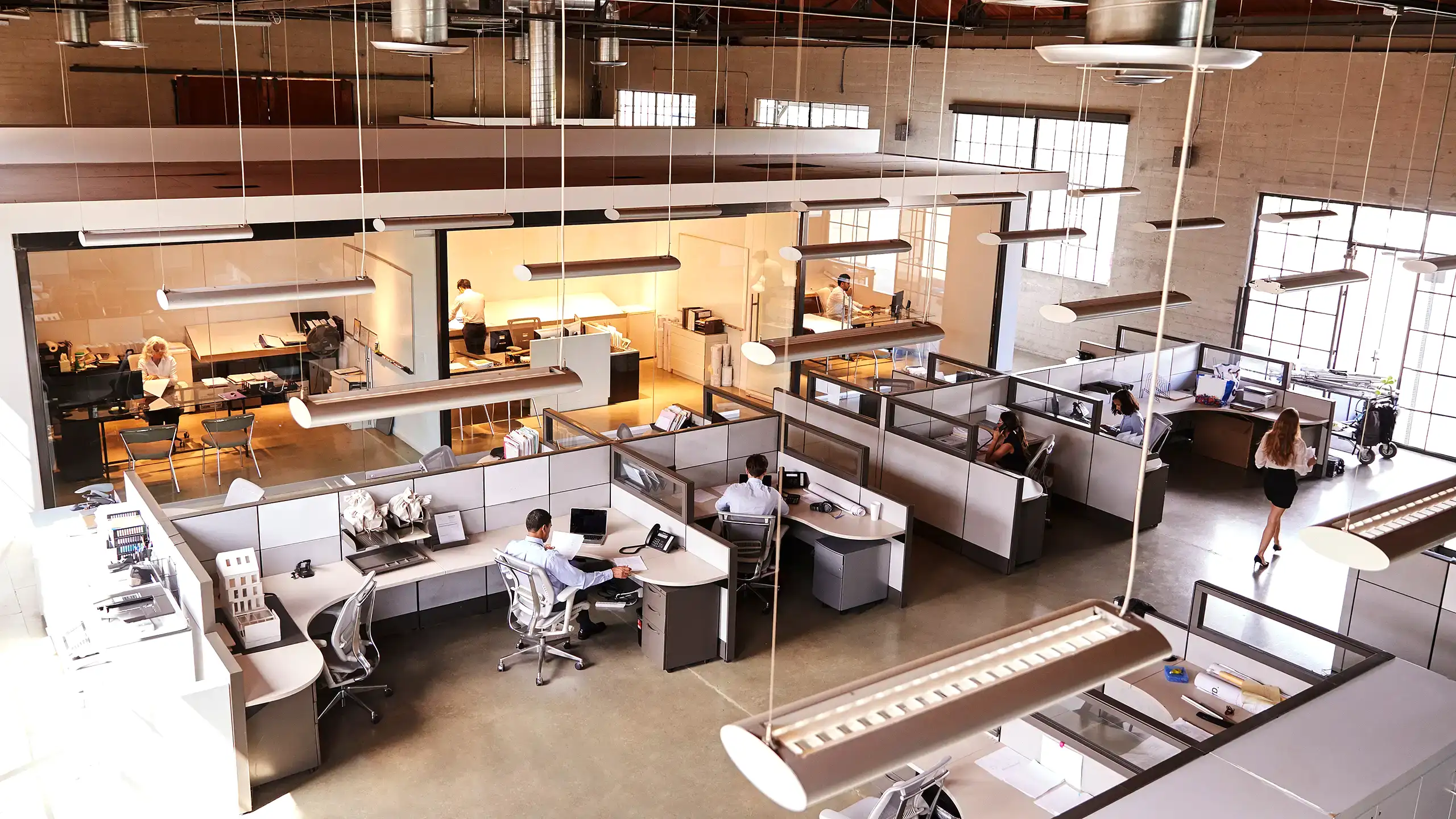 關於 Golden Ark Reserve